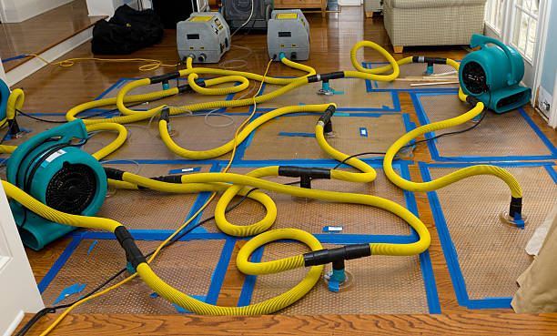 Professional Water Damage Restoration technician working in Crestline, OH