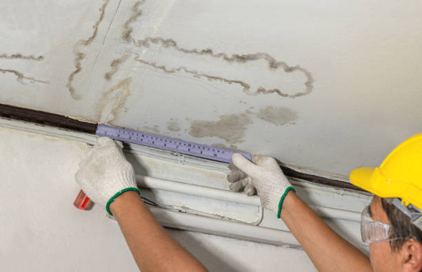 Affordable Water Damage Repair solutions in Crestline, OH